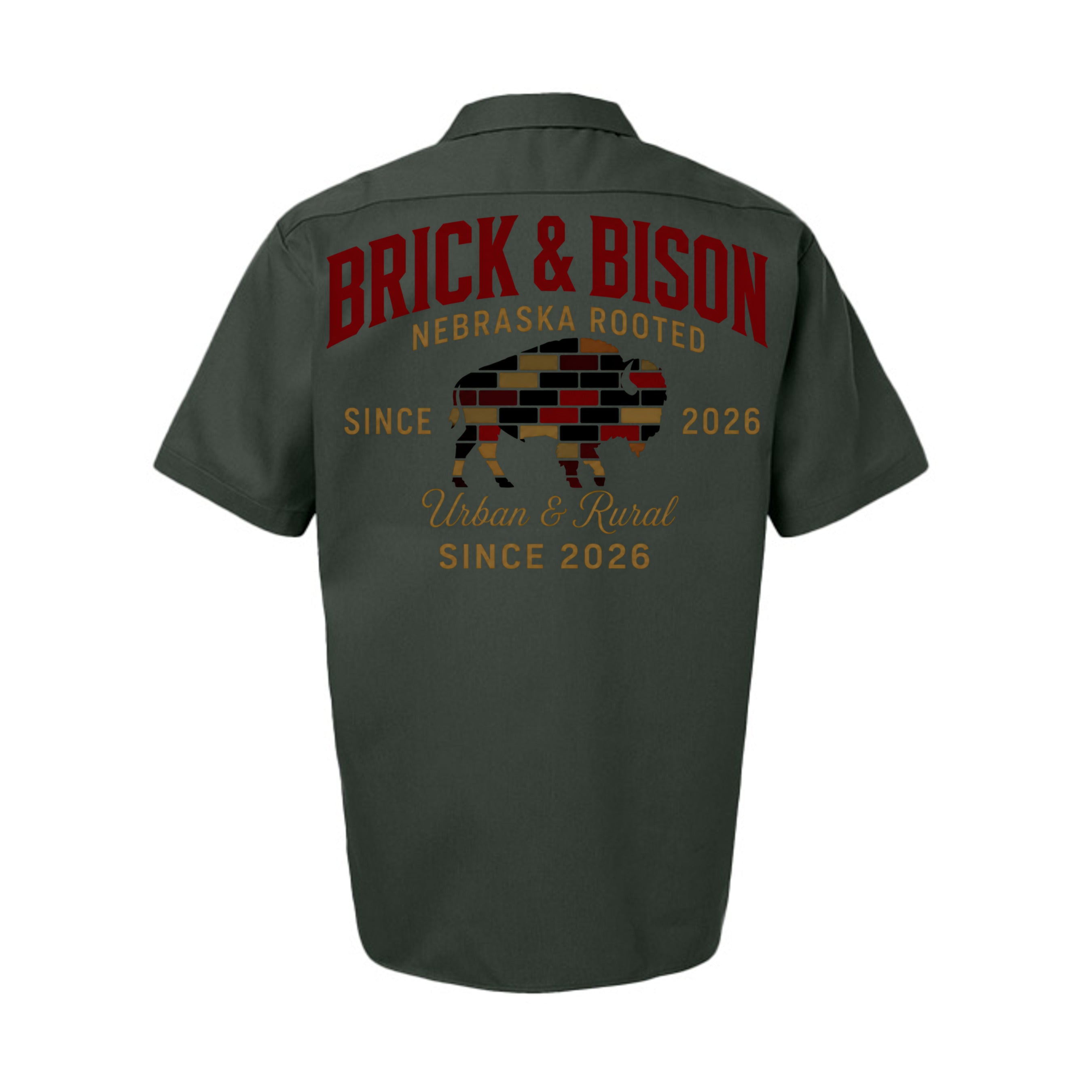 Olive Green - 2574 - BACK